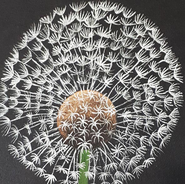 dandelion clock watercolour painting